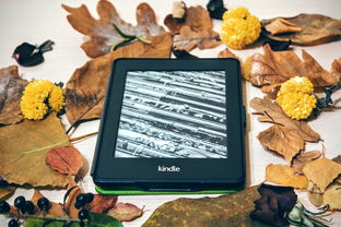 孕期喝咖啡一天不能超过多少毫克安全？